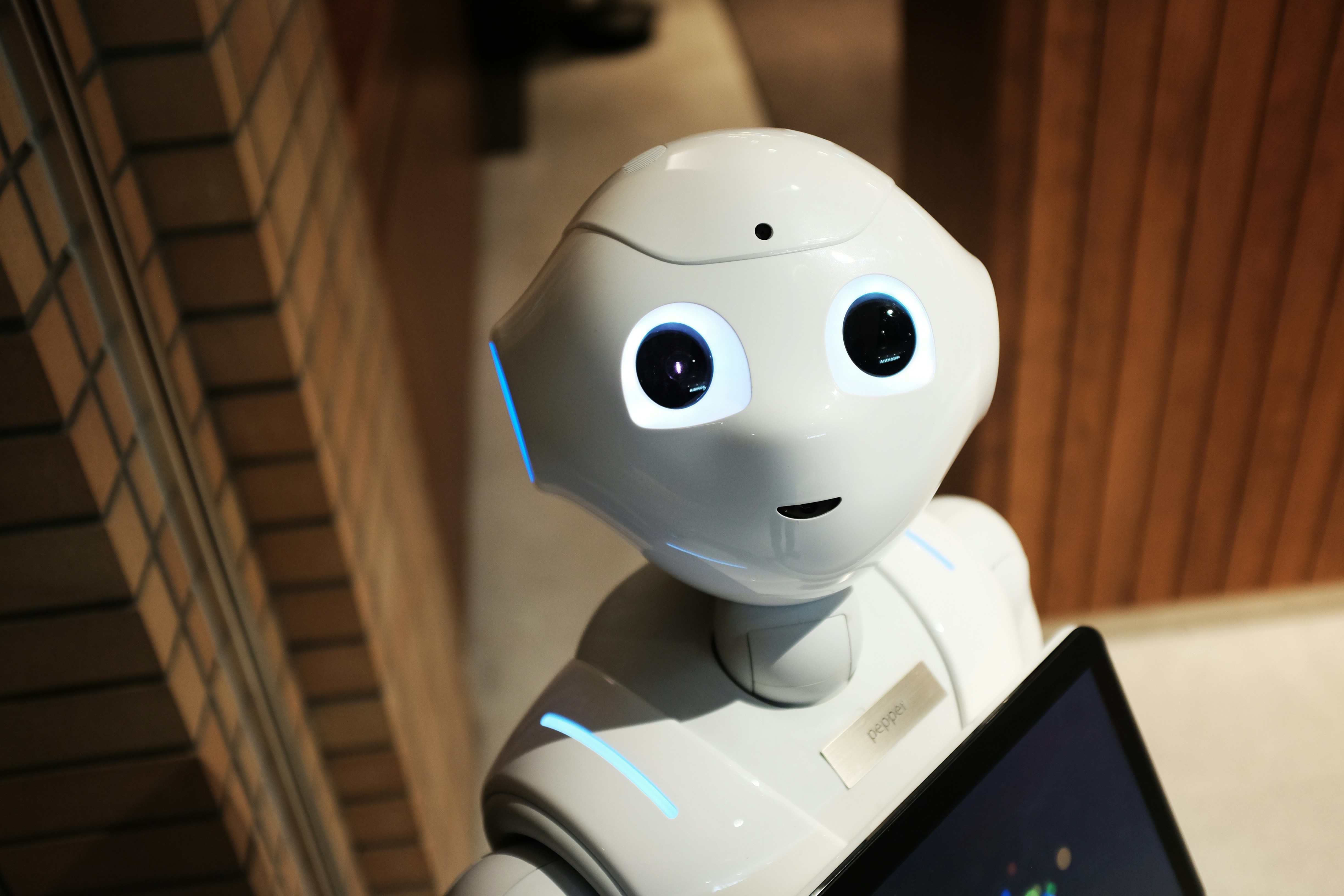 The Role of Deep Learning in the Current AI Era